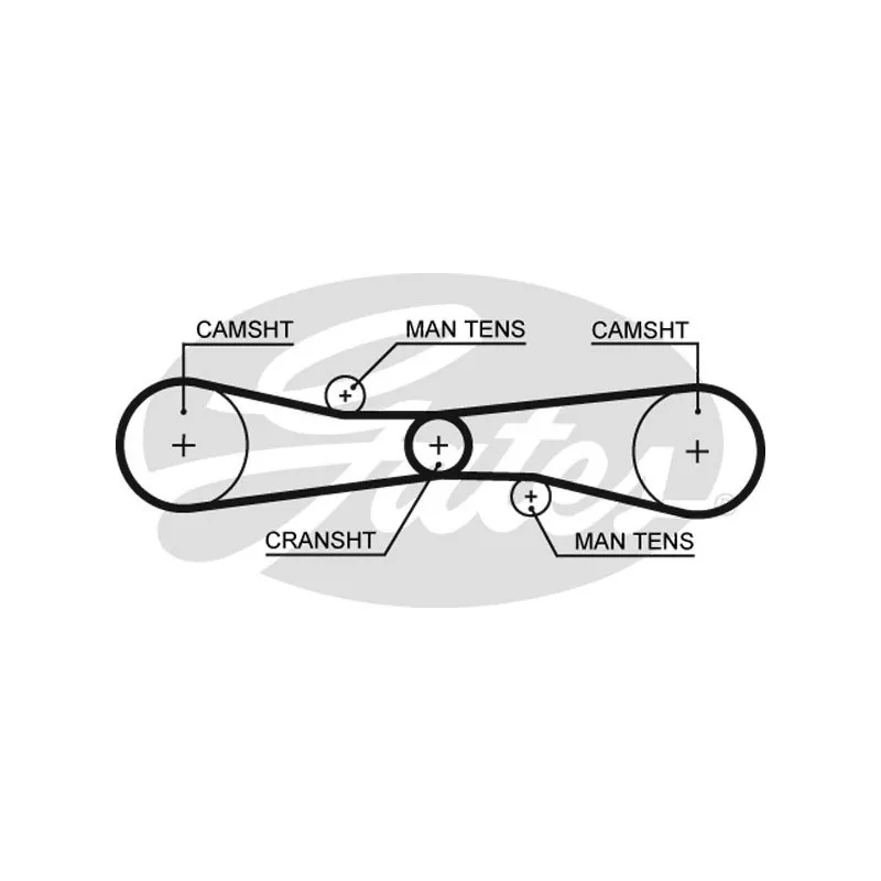 Courroie crantée GATES T275