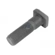 Boulon de roue DT 1.17130 - Visuel 1