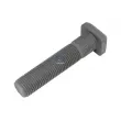 Boulon de roue DT 1.17131 - Visuel 1
