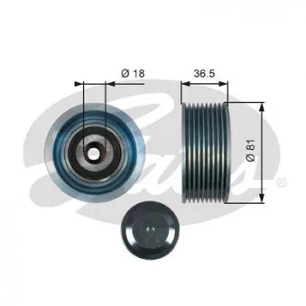 Poulie renvoi/transmission, courroie trapézoïdale à nervures GATES