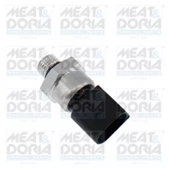 Capteur, pression du tuyau d'admission MEAT & DORIA