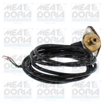 Indicateur de pression d'huile MEAT & DORIA