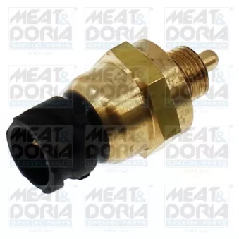 Indicateur de pression d'huile MEAT & DORIA