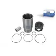 Kit de réparation, Piston/Chemise de cylindre DT 1.00107 - Visuel 1