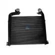 Intercooler, échangeur DT 1.11255 - Visuel 1