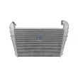 Intercooler, échangeur DT 1.11252 - Visuel 1