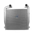 Intercooler, échangeur DT 1.11259 - Visuel 1
