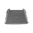 Intercooler, échangeur DT 1.11042 - Visuel 1