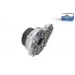 Pompe à eau, refroidissement du moteur DT 1.11153 - Visuel 2