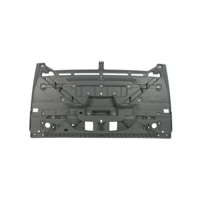 Grille de radiateur PACOL DAF-FP-018