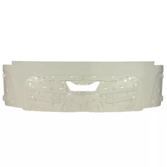 Grille de radiateur PACOL