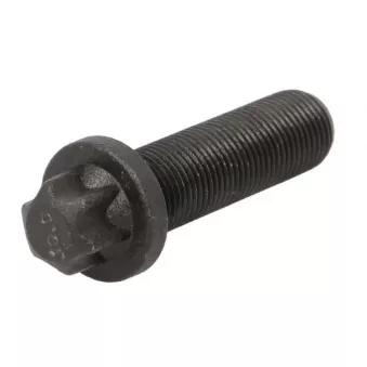 Vis, disque de frein S-TR