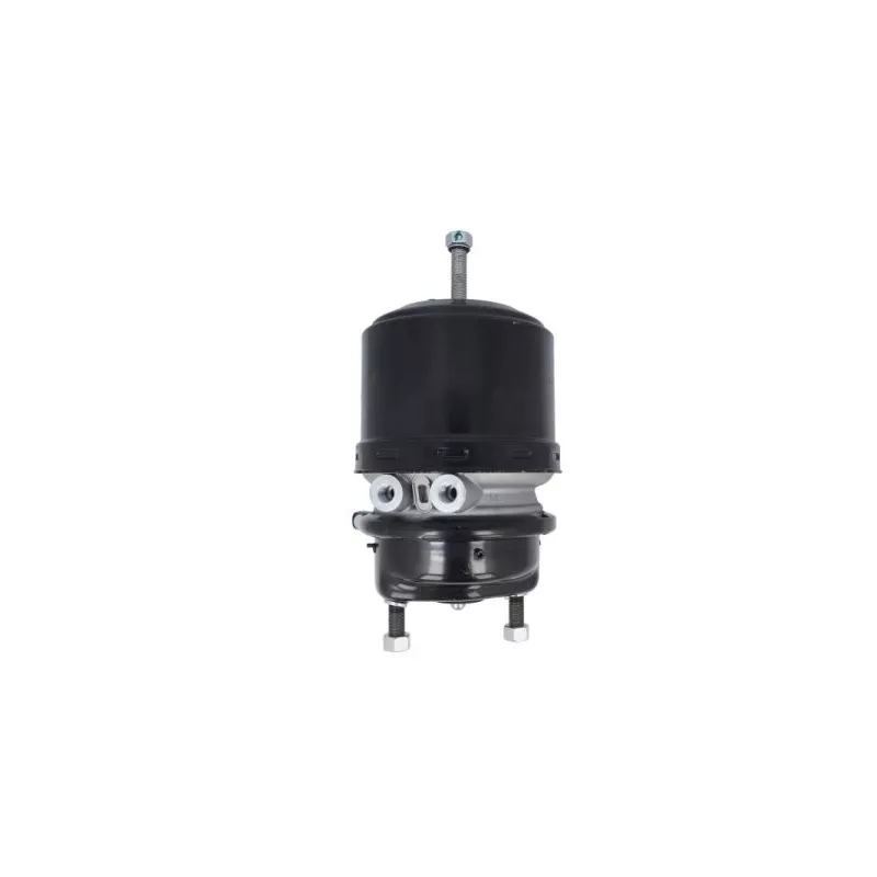 Cylindre de prétension SBP 05-BCT24/30-W11