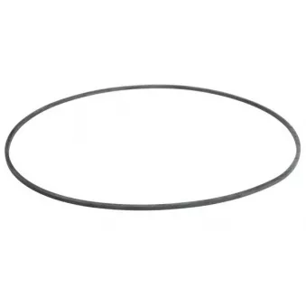 Joint d'étanchéité, piston d'étrier de frein SBP 02-AG031