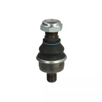 Pivot de fusée d'essieu REINHOCH RH54-A100