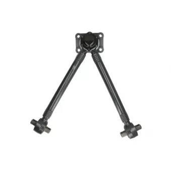 Triangle ou bras de suspension (train arrière) REINHOCH