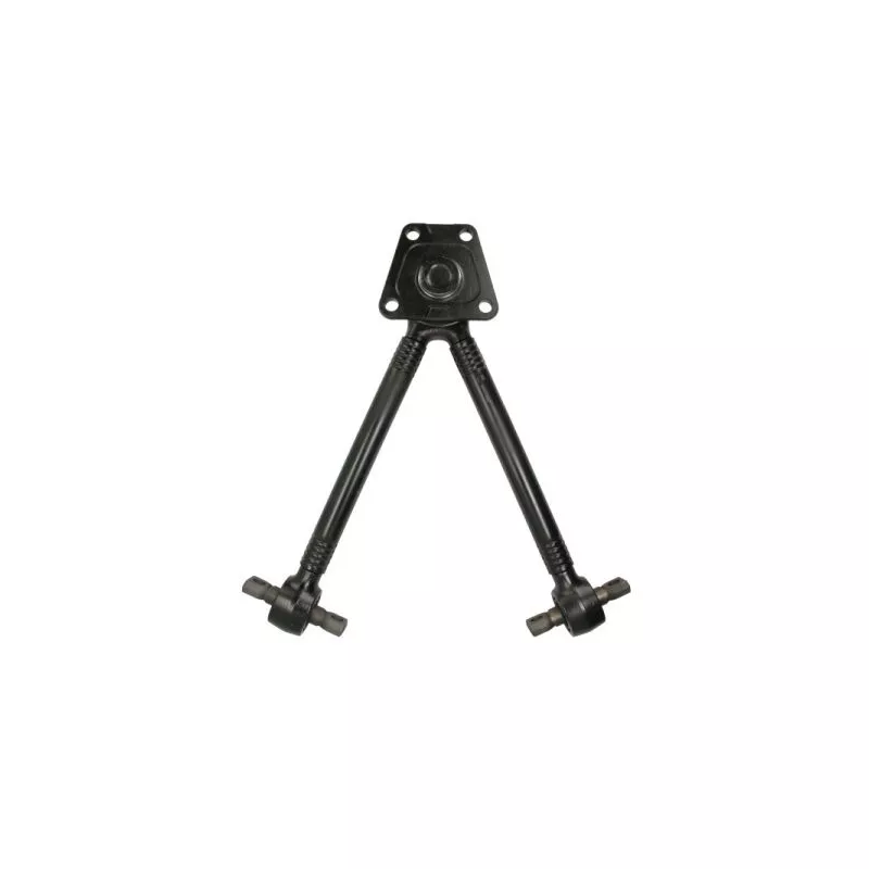 Triangle ou bras de suspension (train arrière) REINHOCH RH53-8009