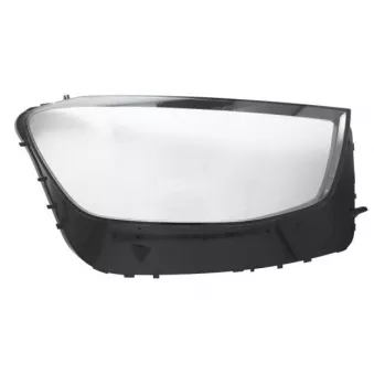 Disperseur, projecteur principal BLIC