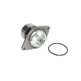 Pompe à eau THERMOTEC WP-CM101