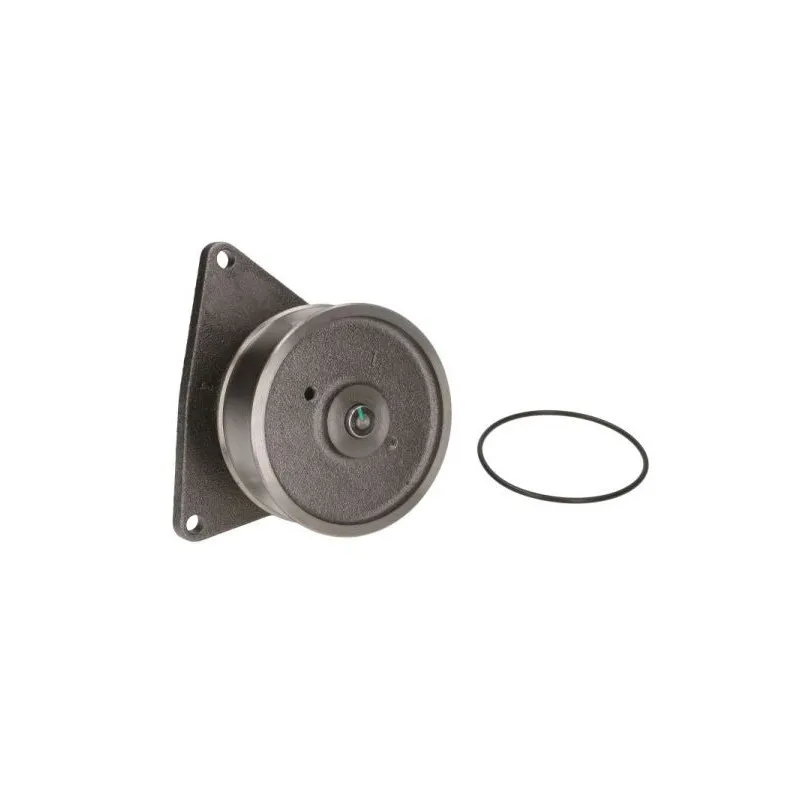 Pompe à eau THERMOTEC WP-CM102