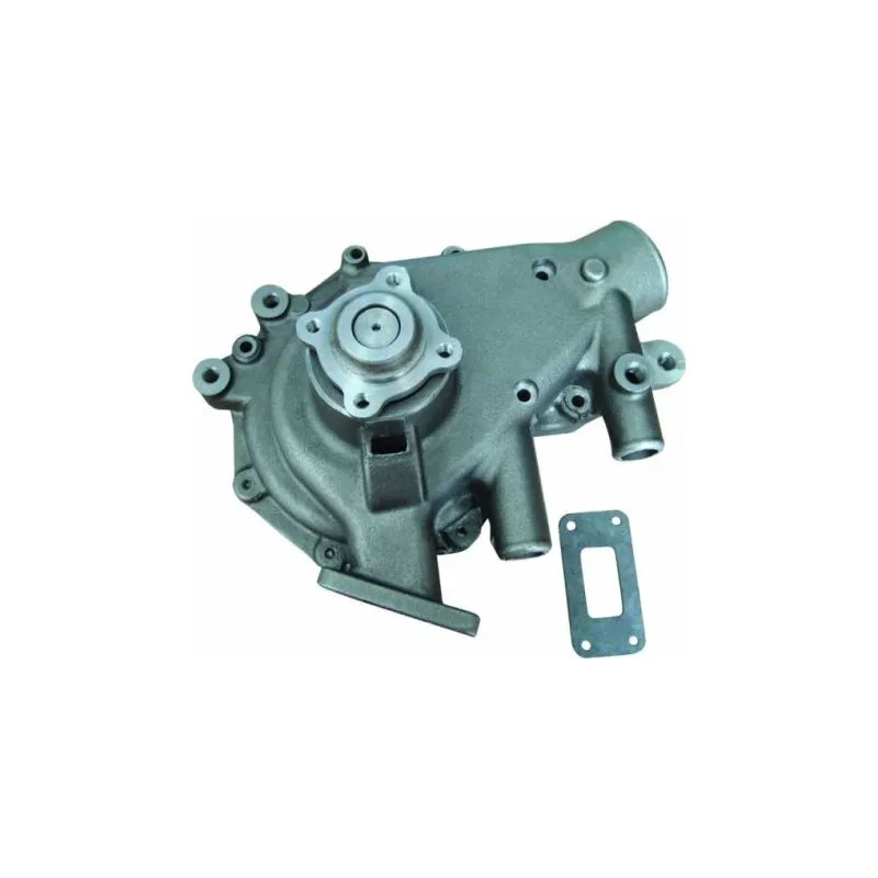 Pompe à eau THERMOTEC WP-DF101