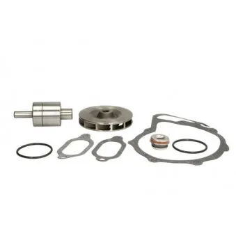 Kit de réparation, pompe à eau THERMOTEC