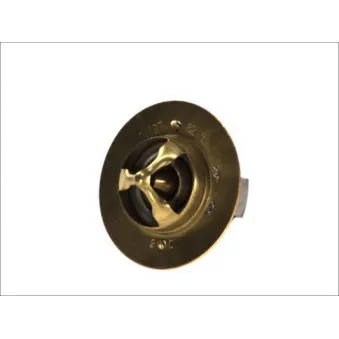 Thermostat d'eau THERMOTEC D2DA002TT