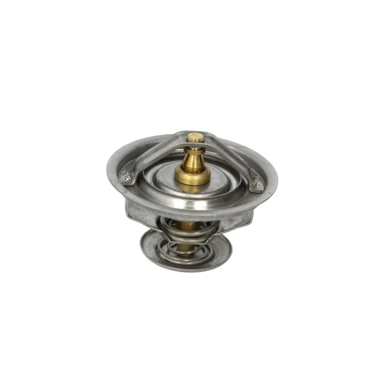 Thermostat d'eau THERMOTEC D2RV003TT