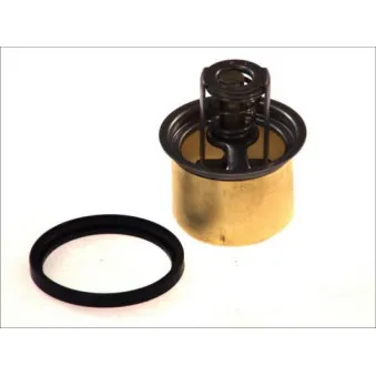 Thermostat d'eau THERMOTEC D2RV001TT