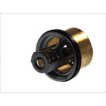 Thermostat d'eau THERMOTEC D2RV002TT