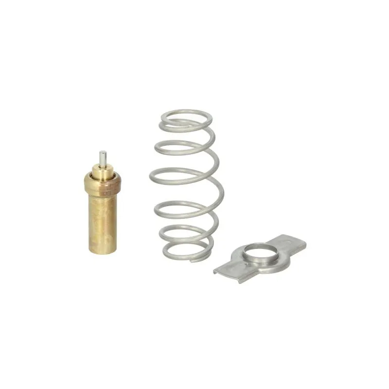 Joint d'étanchéité, thermostat THERMOTEC D2IV006TT