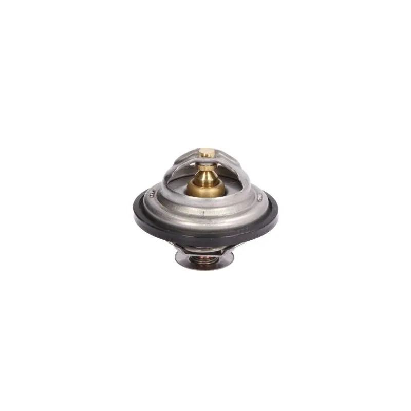 Thermostat d'eau THERMOTEC D2IV004TT