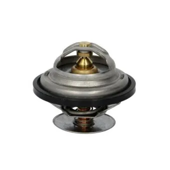 Thermostat d'eau THERMOTEC