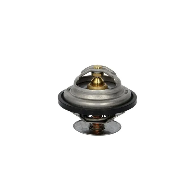 Thermostat d'eau THERMOTEC D2ME002TT