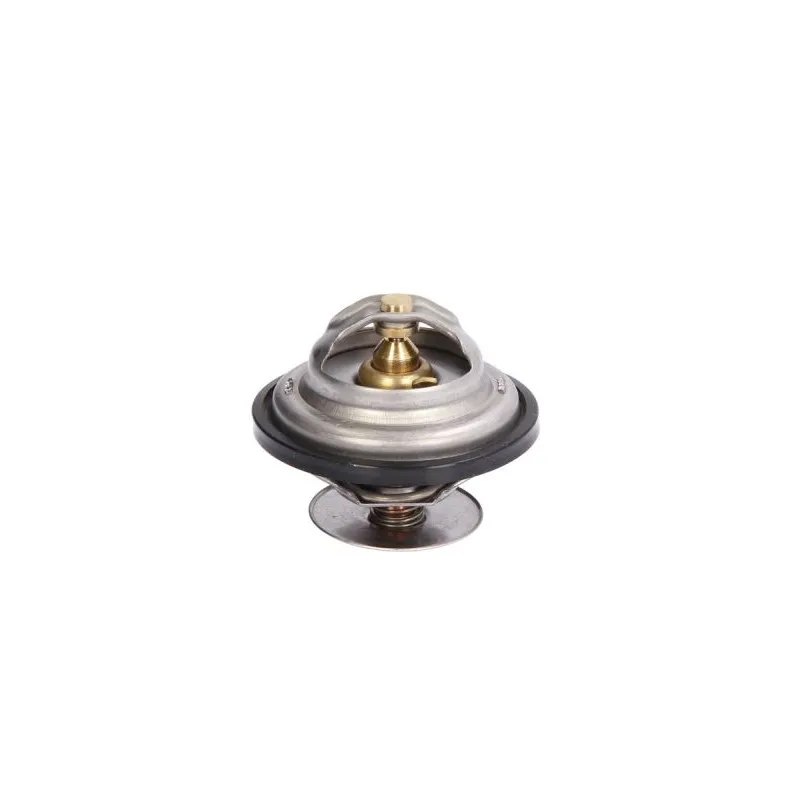 Thermostat d'eau THERMOTEC D2MA004TT