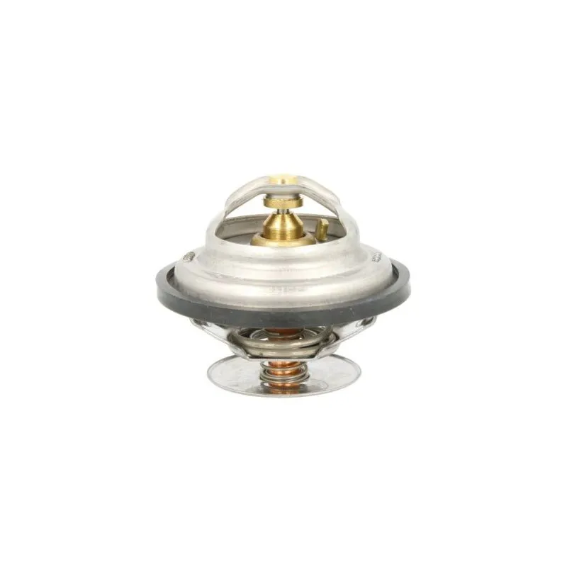 Thermostat d'eau THERMOTEC D2X001TT
