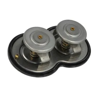 Thermostat d'eau THERMOTEC D2SC003TT