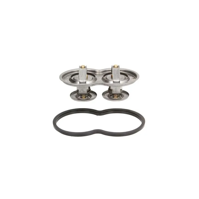 Thermostat d'eau THERMOTEC D2SC001TT