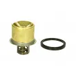 Thermostat d'eau THERMOTEC D2VO004TT - Visuel 1
