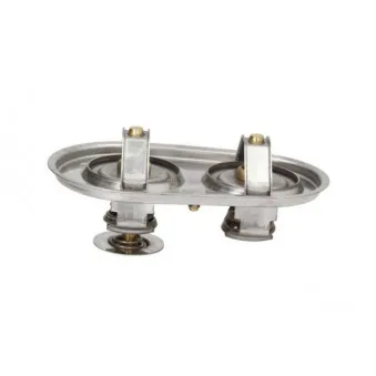 Thermostat d'eau THERMOTEC