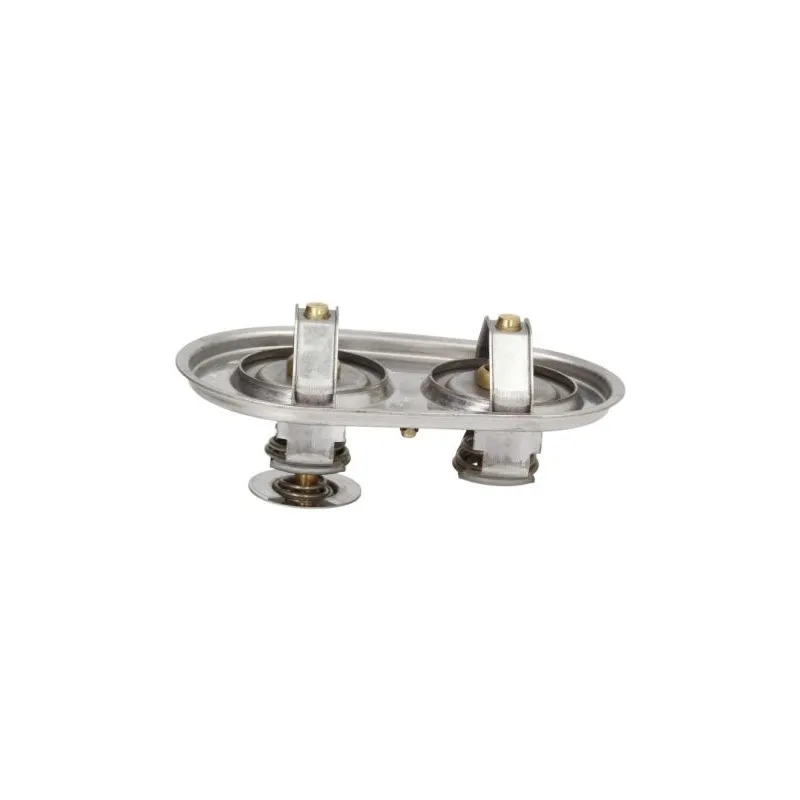Thermostat d'eau THERMOTEC D2SC009TT