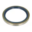 Bague d'étanchéité, moyeu de roue BTA B06-2049 - Visuel 1