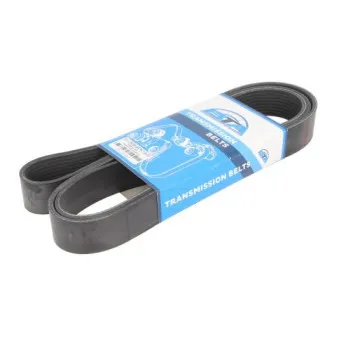 Courroie trapézoïdale à nervures BTA