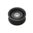 Poulie-tendeur, courroie trapézoïdale à nervures BTA B05-02-002 - Visuel 1