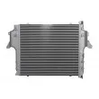 Intercooler, échangeur THERMOTEC DAME008TT - Visuel 1