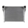 Intercooler, échangeur THERMOTEC DAME009TT - Visuel 1