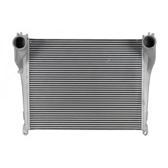 Intercooler, échangeur THERMOTEC DAME009TT