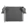 Intercooler, échangeur THERMOTEC DAME008TT - Visuel 2