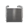 Intercooler, échangeur THERMOTEC DASC004TT - Visuel 1