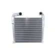 Intercooler, échangeur THERMOTEC DASC003TT - Visuel 1